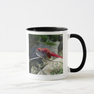 Caneca Libélula que empoleira-se no ramo, fim acima