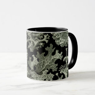 Caneca Lichen por Ernst Haeckel, Plantas Naturais Vintage