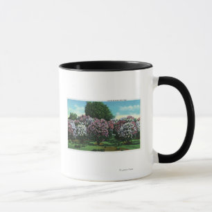 Caneca Lilacs de Highland Park na flor