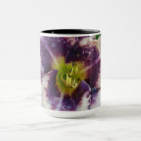 Lilium Bloom Photo