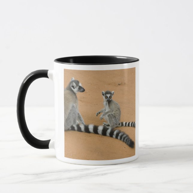 Caneca Limures, (Lemur catta), Berbastante (Esquerda)