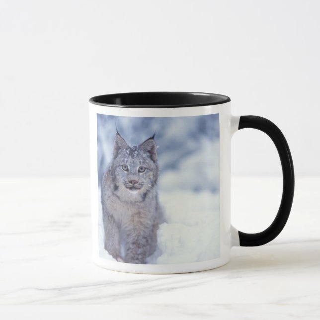 Caneca Lince na neve nos contrafortes (Direita)