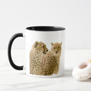 Caneca Linda Foto De Gato De Cheetah