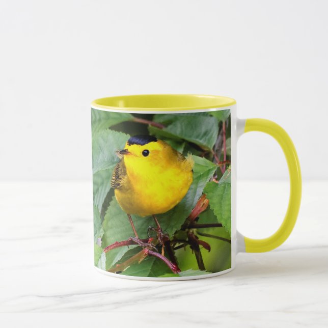 Caneca Linda Warbler de Wilson na árvore cerejeira (Direita)
