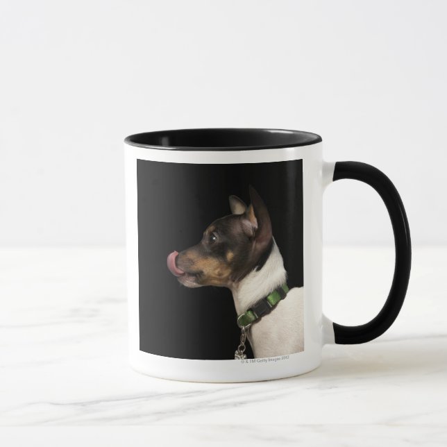 Caneca Língua fora do rato Terrier preto e branco (Direita)