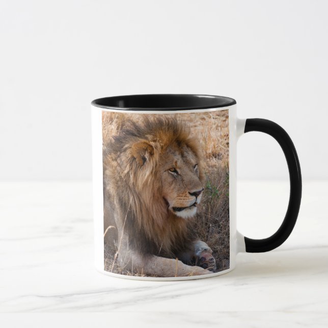 Caneca Lion Maasai Mara National Reserve, Quênia (Direita)