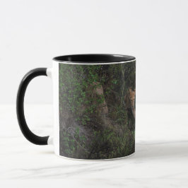 Caneca Lioness E Cub Passando Pela Escova Subterrânea, Mu