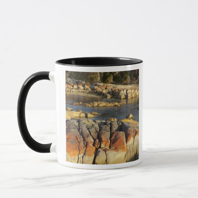 Caneca Líquen Laranja em Rochas, Binalong Bay, Baía de (Esquerda)