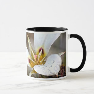 Caneca Lírio de Sego