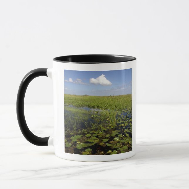 Caneca Lírios de água e sawgrass nos everglades da Flórid (Esquerda)