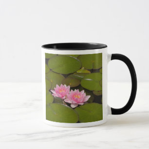 Caneca Lírios de água floridos