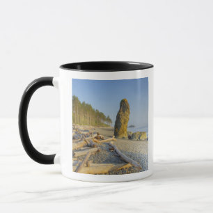 Caneca Litoral e Penhascos, Ruby Beach, Olímpico