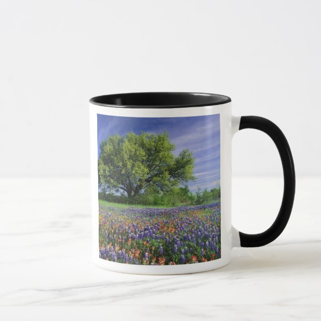 Caneca Live Oak & Texas Paintbrush, e Texas (Direita)