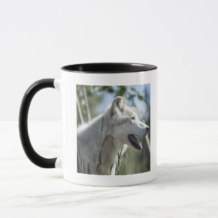 Caneca Lobo em Yellowstone 2