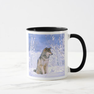 Caneca Lobo-Madeira sentado na neve, Canis lupus,