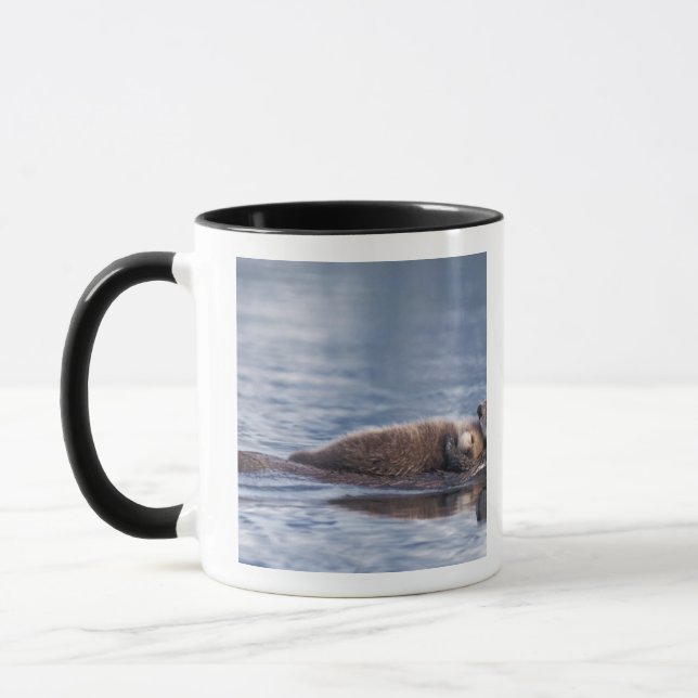 Caneca lontra marinha, Enhydra lutris lutris (Esquerda)