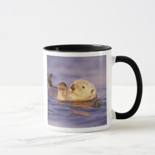 Caneca Lontras Marinhas, Enhydra lutris