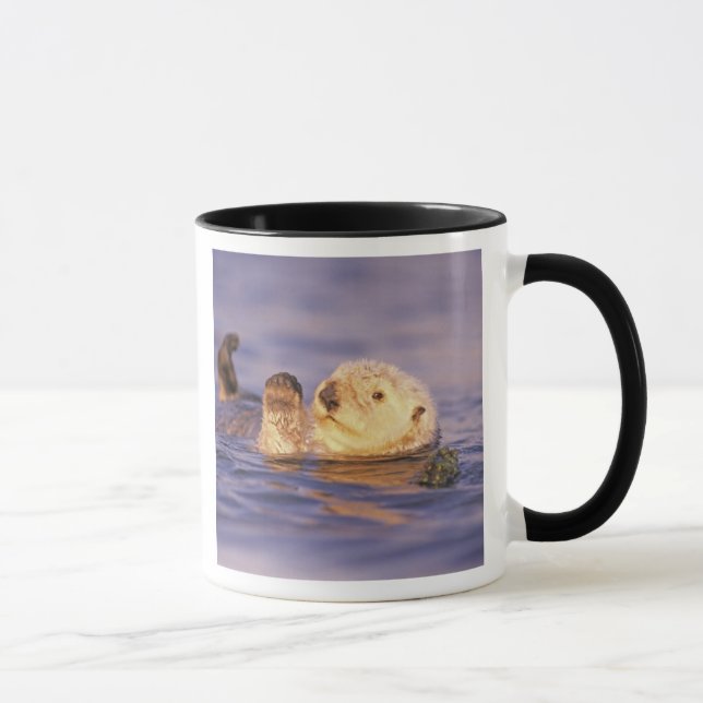 Caneca Lontras Marinhas, Enhydra lutris (Direita)