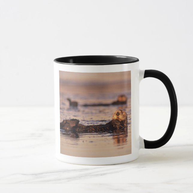 Caneca Lontras Marinhas, Enhydra lutris 3 (Direita)