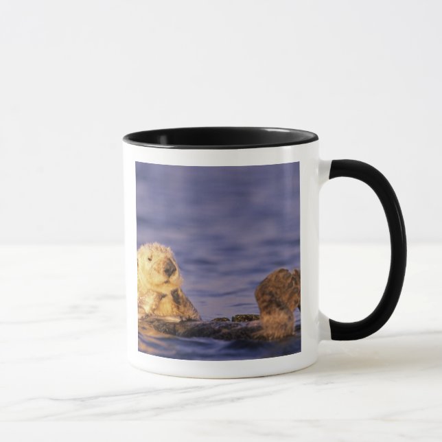 Caneca Lontras Marinhas, Enhydra lutris 4 (Direita)