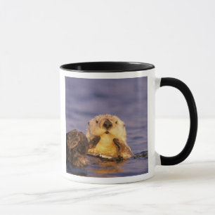 Caneca Lontras Marinhas, Enhydra lutris 5