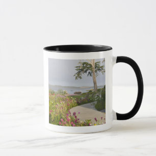 Caneca Los Osos e Baywood Park uniram-se
