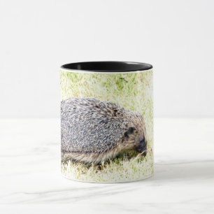 Caneca Love Hedgehogs