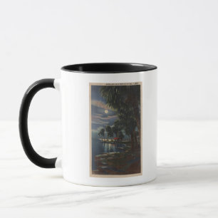 Caneca Luar em um Florida BeachFlorida