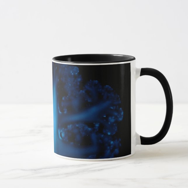Caneca Luminol e a estrutura da couve-flor (Direita)