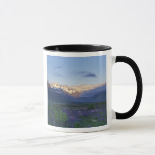 Caneca Lupino e a Divisão Principal, Arthur's Pass, Sul