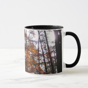 Caneca Luz Solar Através de Árvore de Outono em Greenbelt
