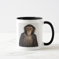 Macaco