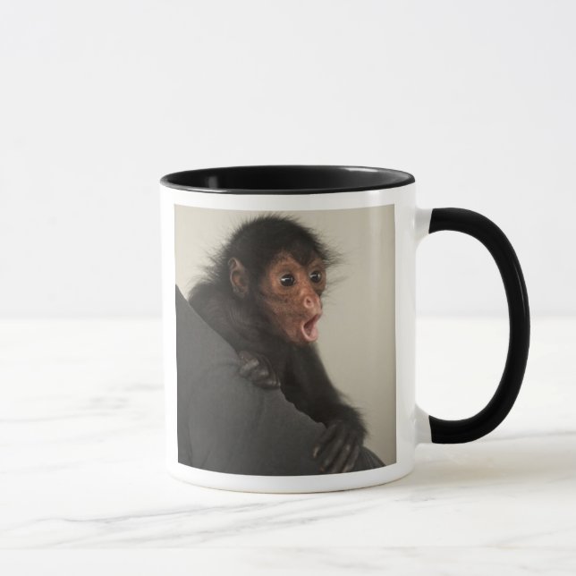 Caneca Macaco-aranha-de-cara-vermelha Ateles paniscus) (Direita)