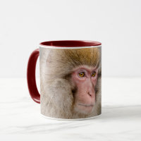 Macaco Brown Snow, fotografia japonesa