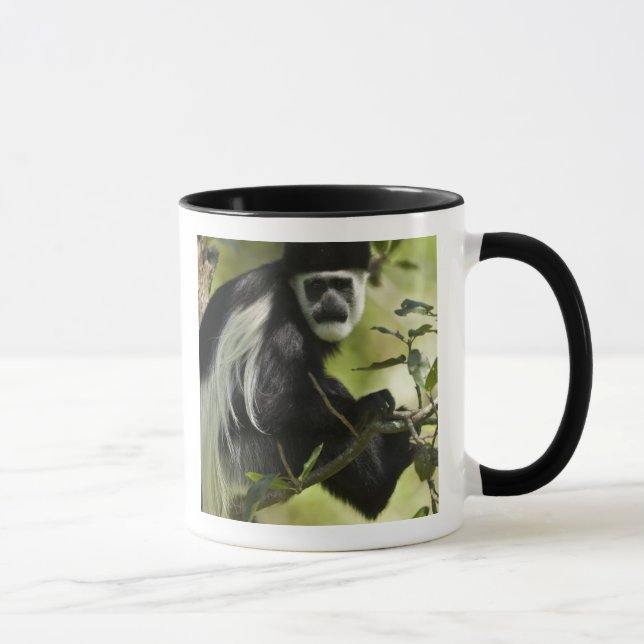 Caneca Macaco Colobus Preto e Branco (Direita)