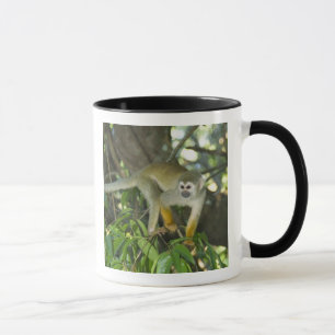 Caneca Macaco-de-cheiro-comum, (Saimiri sciureus), Rio