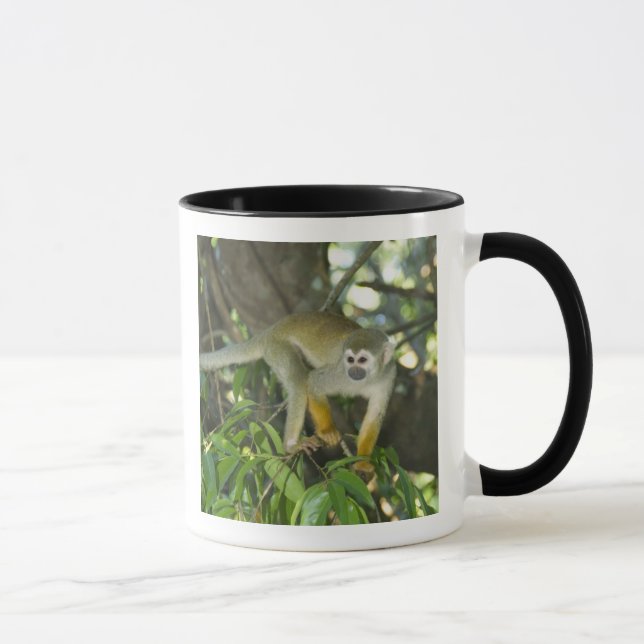 Caneca Macaco-de-cheiro-comum, (Saimiri sciureus), Rio (Direita)