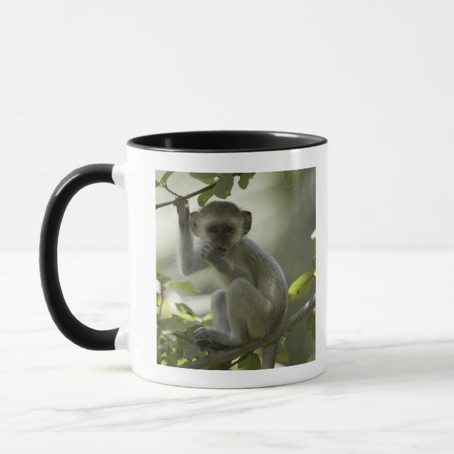 Caneca Macaco de Vervet, Zimbabwe (Esquerda)