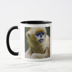 Caneca Macaco dourado