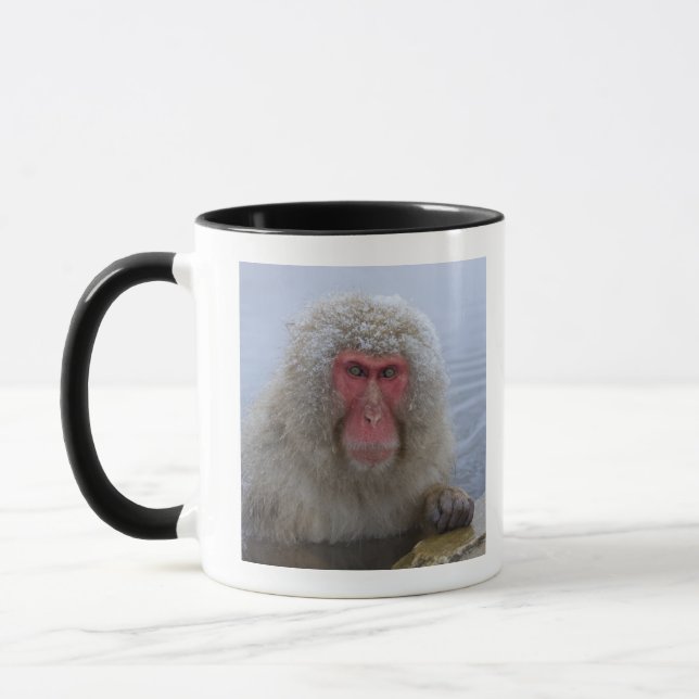 Caneca Macaco japonês da neve no hotspring (Esquerda)