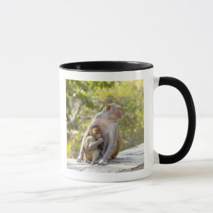 Caneca Macacos de Macaque do Rhesus da mãe e do bebê na