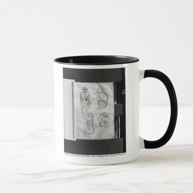 Caneca Macacos, do álbum de Vallardi (Direita)