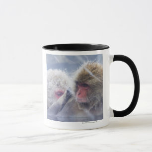 Caneca Macaques japoneses (fuscata do Macaca) que