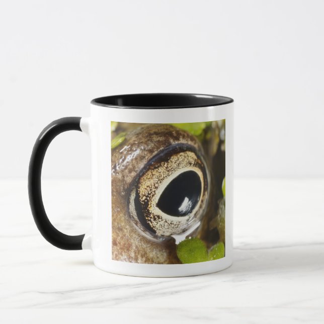 Caneca Macro; Horizontal; Cor; Cor; Ninguém (Esquerda)