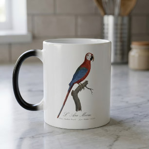 Caneca Mágica Arara-vermelha, Ara chloropterus