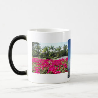 Caneca Mágica Baía de Caneel, St John, USVI