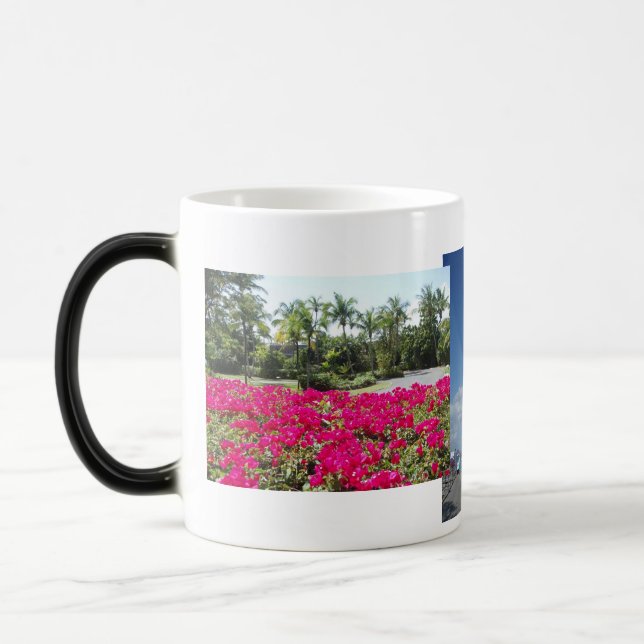 Caneca Mágica Baía de Caneel, St John, USVI (Esquerda)