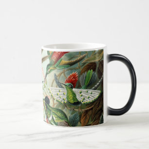 Caneca Mágica Beija-flores