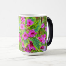 Bela Weigela Verde com Flores Carmesim
