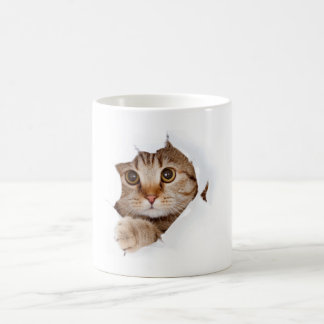 Caneca Mágica café de gato de beleza - gatinho rabugento